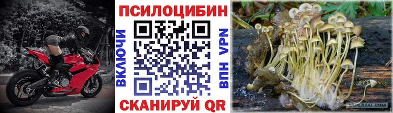 Галлюциногенные грибы Cubensis  мега маркетплейс  Ивангород 